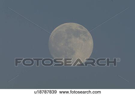 Stock Photo - Full Moon. Fotosearch