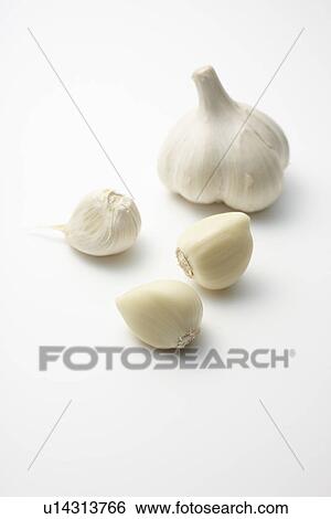 Stock Photograph - Garlic. Fotosearch