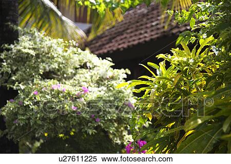 Green Garden View Large Photo Image Stock Photography - Green Garden. Fotosearch
