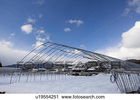 Stock Image - Greenhouse Frame in Winter. Fotosearch