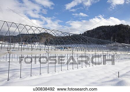Stock Image - Greenhouse Frame. Fotosearch