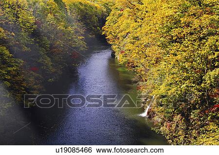 Stock Photograph - High Angle View of River in Autumn. Fotosearch