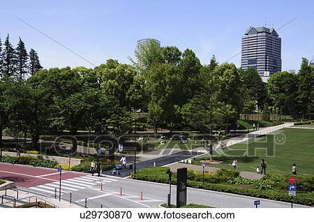 Hinokicho Park View Large Photo Image Stock Image - Hinokicho Park. Fotosearch