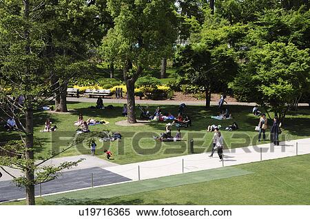 Stock Photography - Hinokicho Park. Fotosearch