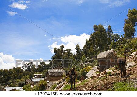 Stock Photo - Houses near Lake Titicaca, Andes, Peru. Fotosearch