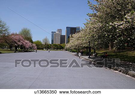 Imperial Palace Plaza View Large Photo Image Stock Image - Imperial Palace Plaza. Fotosearch