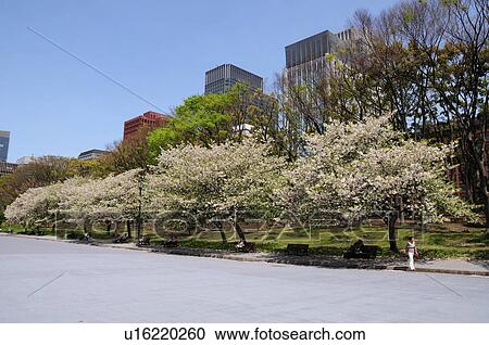 Stock Image - Imperial Palace Plaza. Fotosearch
