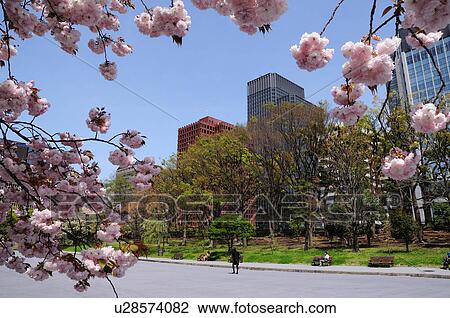 Imperial Palace Plaza View Large Photo Image Stock Image - Imperial Palace Plaza. Fotosearch