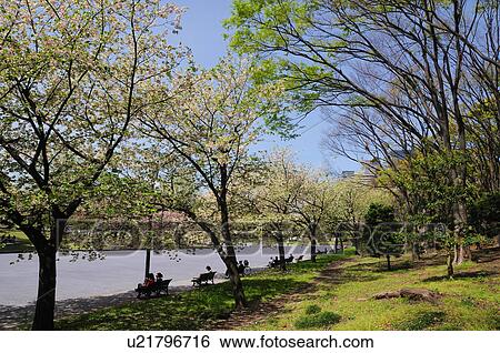 Imperial Palace Plaza View Large Photo Image Stock Photograph - Imperial Palace Plaza. Fotosearch
