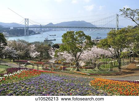 Stock Image - Kanmonkyo Bridge Seen From Park. Fotosearch