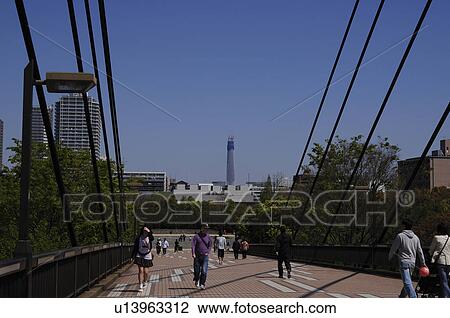 Kiba Park Bridge View Large Photo Image Stock Image - Kiba Park Bridge. Fotosearch