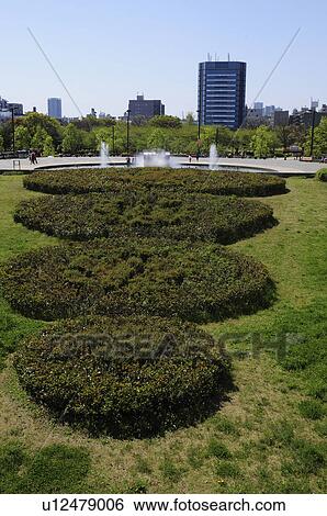 Kiba Park View Large Photo Image Stock Photograph - Kiba Park. Fotosearch