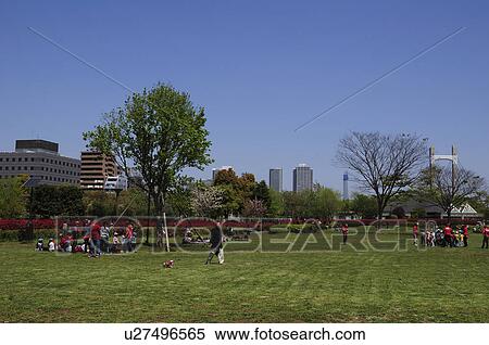 Kiba Park View Large Photo Image Stock Photography - Kiba Park. Fotosearch