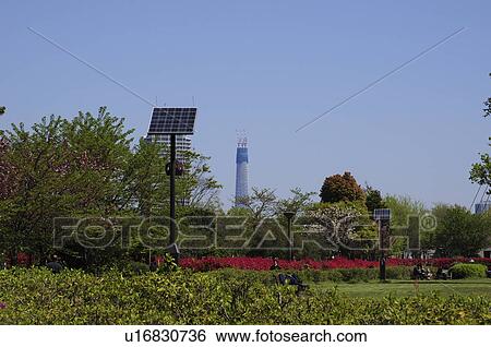 Stock Photograph - Kiba Park with Tokyo Sky Tree in Background. Fotosearch