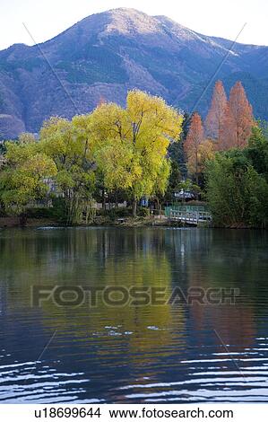 Picture - Kinrin Lake in Autumn. Fotosearch