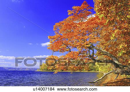 Lake Toya in Autumn View Large Photo Image Picture - Lake Toya in Autumn. Fotosearch
