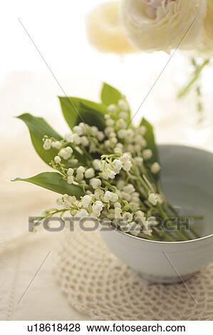 Stock Photo - Lily-of-the-valley in a bowl. Fotosearch