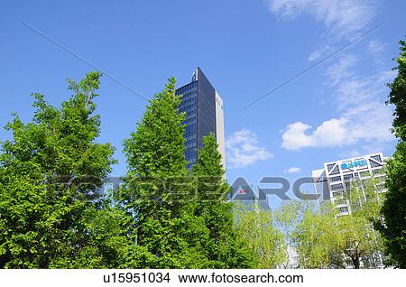 Makuhari Skyline and Trees View Large Photo Image Picture - Makuhari Skyline and Trees. Fotosearch