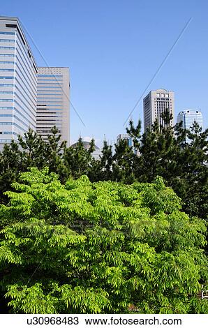 Makuhari Skyline and Trees View Large Photo Image Stock Image - Makuhari Skyline and Trees. Fotosearch