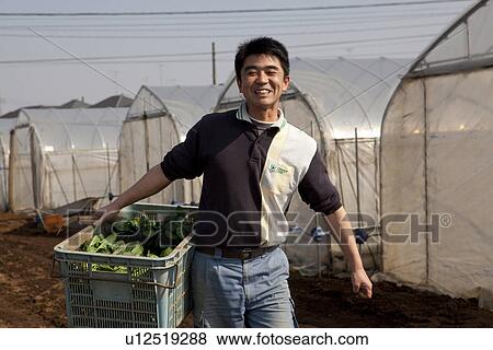 Stock Photo - Man Carrying Spinach in Box. Fotosearch