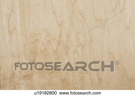 Maple Wood View Large Photo Image Stock Image - Maple Wood. Fotosearch