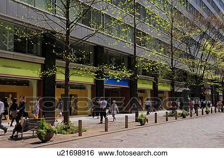 Marunouchi in Spring View Large Photo Image Stock Photograph - Marunouchi in Spring. Fotosearch