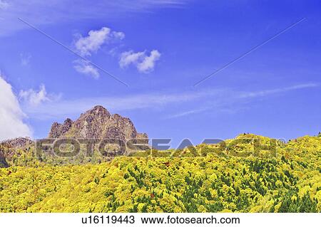 Stock Image - Mount Tengu. Fotosearch