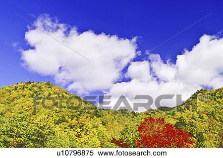Stock Photography - Mountain Covered in Autumnal Forest. Fotosearch