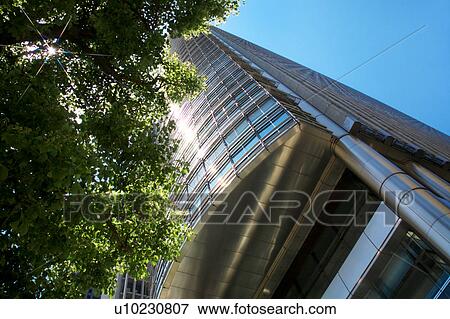 Office building and tree, low angle view, Osaka City, Osaka Prefecture, Honshu, Japan View Large Photo Image Stock Photo - Office building and tree, low angle view, Osaka City, Osaka Prefecture, Honshu, Japan. Fotosearch