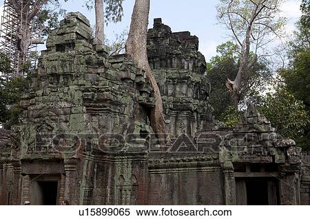 Overgrown Tree on Ta Prohm Ruins View Large Photo Image Stock Photography - Overgrown Tree on Ta Prohm Ruins. Fotosearch