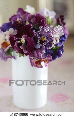 Stock Photograph - Pansies in a vase. Fotosearch