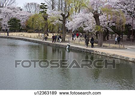 Park at Matsumoto Castle View Large Photo Image Stock Photo - Park at Matsumoto Castle. Fotosearch