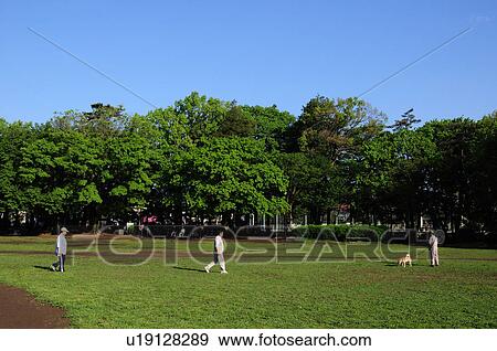 Stock Photo - Park in Funabashi. Fotosearch