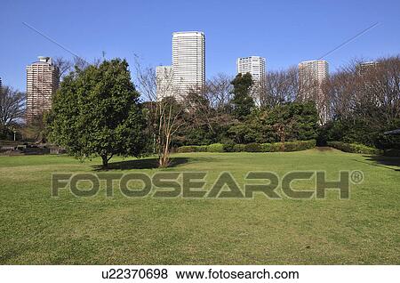 Stock Photo - Park in Koto-ku. Fotosearch