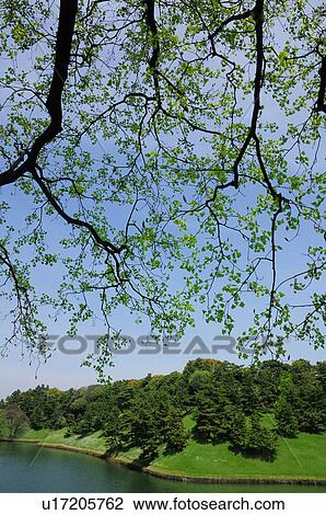 Park in Spring View Large Photo Image Stock Image - Park in Spring. Fotosearch