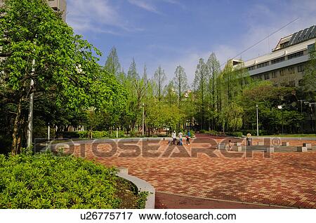 Stock Photo - Park in Spring. Fotosearch