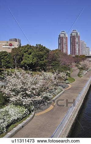 Stock Image - Park in Tokyo. Fotosearch