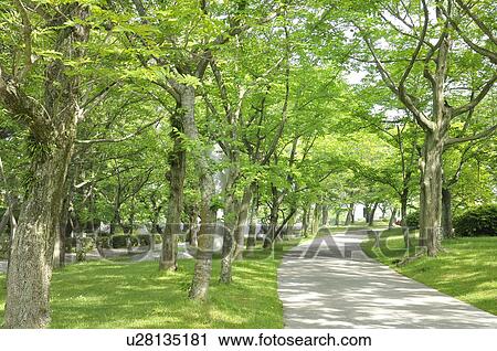 Park View Large Photo Image Stock Image - Park. Fotosearch