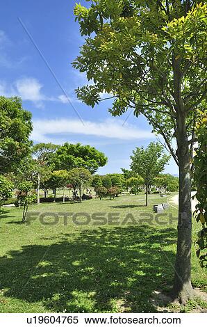 Park View Large Photo Image Stock Photography - Park. Fotosearch