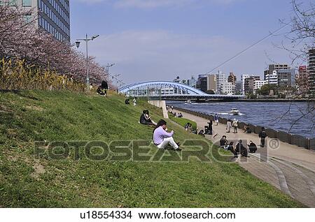 Picture - People at Sumida River, Eitai Bridge in Background. Fotosearch