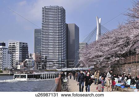 People at Sumida River View Large Photo Image Stock Image - People at Sumida River. Fotosearch