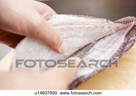 Person Preparing Sea Bream View Large Photo Image Stock Image - Person Preparing Sea Bream. Fotosearch
