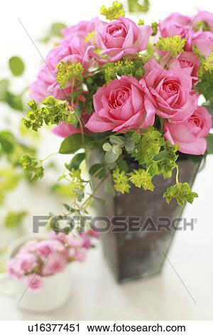 Pink Roses and Hare's Ears View Large Photo Image Stock Image - Pink Roses and Hare's Ears. Fotosearch