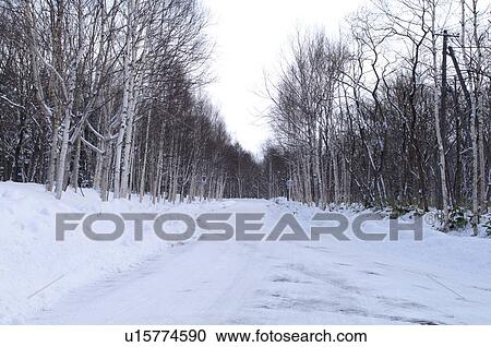 Road at Karikachi Highland View Large Photo Image Stock Image - Road at Karikachi Highland. Fotosearch