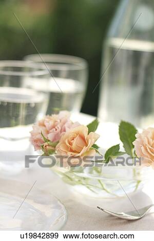 Roses on Dining Table View Large Photo Image Stock Photo - Roses on Dining Table. Fotosearch