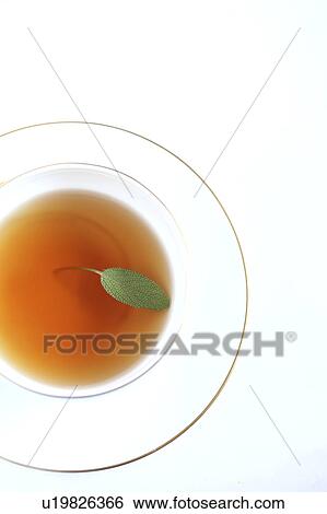 Sage Tea View Large Photo Image Stock Photograph - Sage Tea. Fotosearch