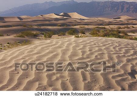 Sand Dunes View Large Photo Image Stock Photo - Sand Dunes. Fotosearch