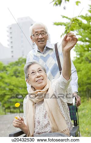 Senior man pushing senior woman on wheelchair, Kanagawa Prefecture, Honshu, Japan View Large Photo Image Stock Image - Senior man pushing senior woman on wheelchair, Kanagawa Prefecture, Honshu, Japan. Fotosearch