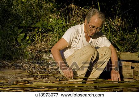 Senior Man Sorting Bamboo Stems View Large Photo Image Stock Photo - Senior Man Sorting Bamboo Stems. Fotosearch