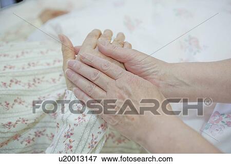 Senior women holding hands, Kanagawa Prefecture, Honshu, Japan View Large Photo Image Stock Photo - Senior women holding hands, Kanagawa Prefecture, Honshu, Japan. Fotosearch